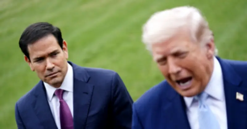 Marco Rubio, le "vice-roi" de la politique américaine en Amérique latine