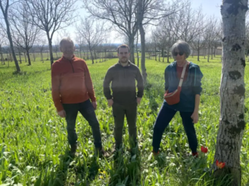Marmande célèbre la 2e édition de la Fête de la tulipe sauvage ce dimanche