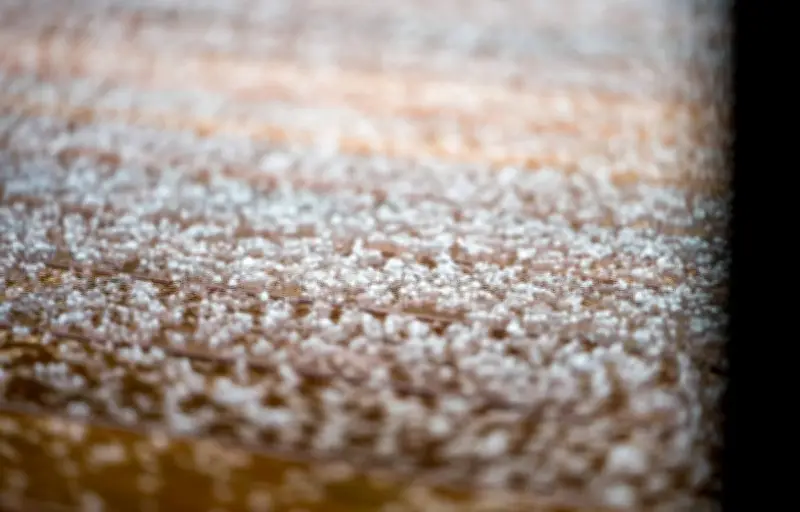 Mars confirme sa réputation de mois instable avec un retour brutal du froid