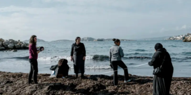 Marseille : des volontaires étudient la posidonie, trésor menacé de la Méditerranée