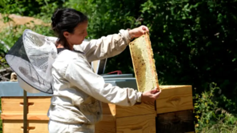 Mathilde Andrieu, de l'hôtellerie à l'apiculture : une reconversion florissante en Lozère
