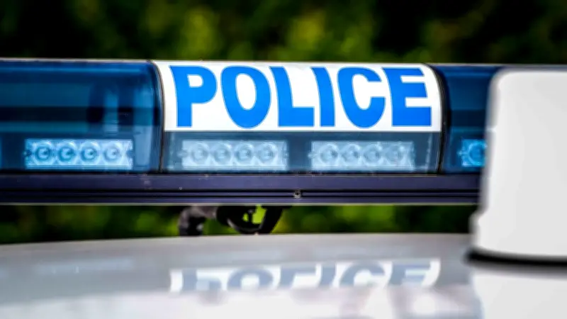 Mende : Deux chevaux s'échappent sur la rocade après la rupture d'une clôture