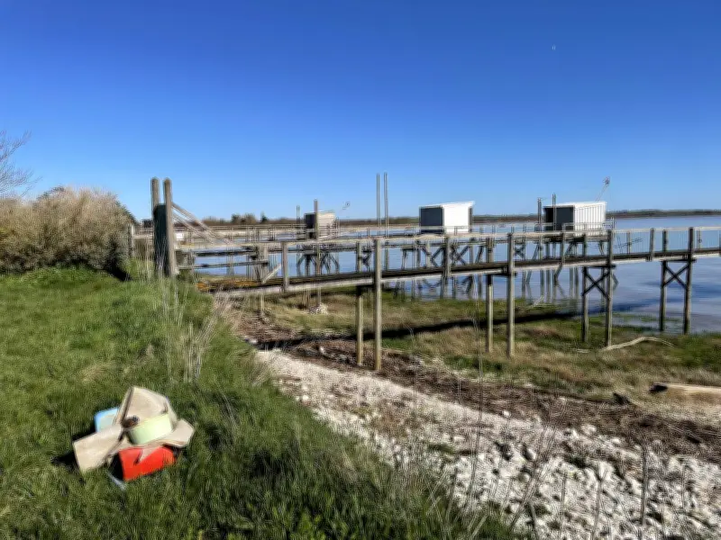 Meschers-sur-Gironde : mobilisation citoyenne pour un nettoyage printanier du littoral