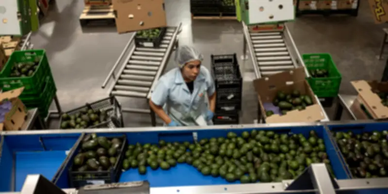 Mexique : la réforme des 40 heures face à la réalité épuisante des travailleurs