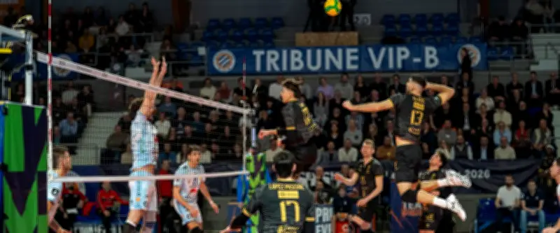 MHSC-VB face à Las Palmas : un exploit nécessaire pour la qualification en Ligue des champions