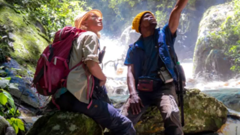 Millau : Caroline Thirion présente son documentaire sur les chimpanzés du Congo