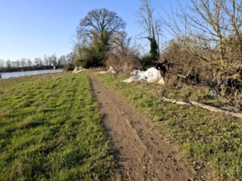 Mobilisation citoyenne pour nettoyer le lac du Graoux après la tempête Nils