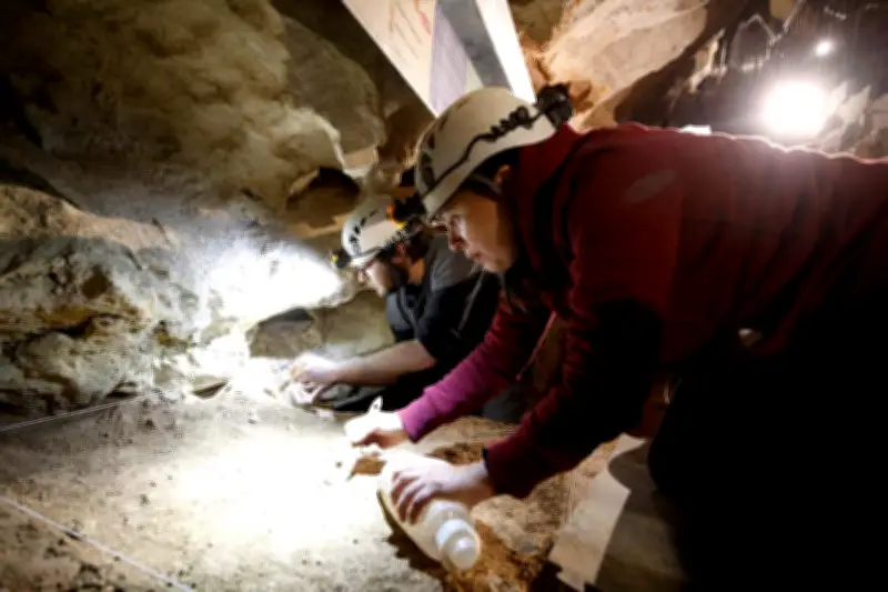 Monaco : sous le Jardin exotique, une fouille archéologique au millimètre révèle 250 000 ans d'histoire