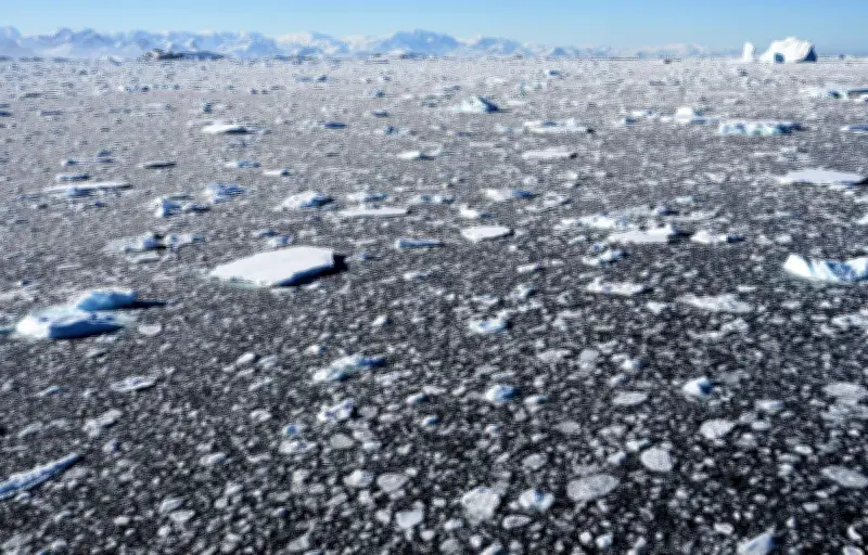 Montée des océans : une étude révèle une sous-estimation alarmante des risques côtiers