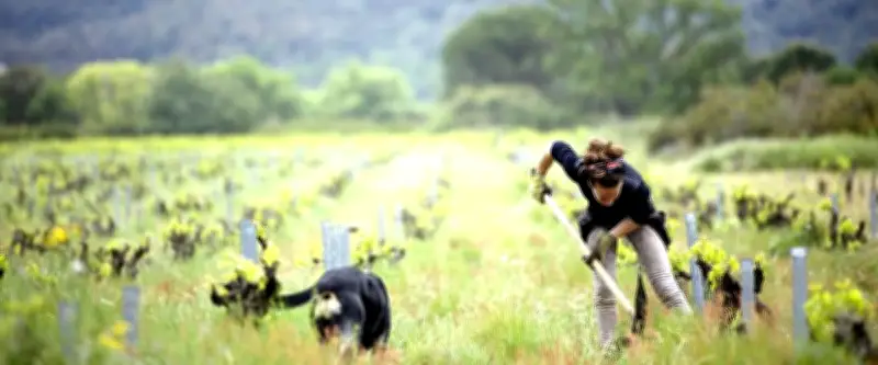 Montpellier ce vendredi 13 mars : plantes, Wine Calling, vacances à Dubaï
