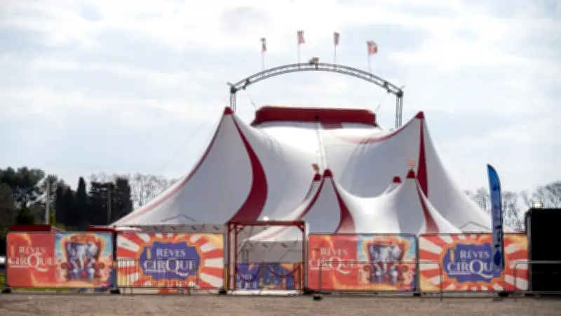 Montpellier : deux trapézistes chutent de 3,50 mètres lors d'un spectacle de cirque