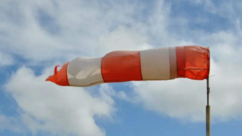 Montpellier ferme parcs, zoo et cimetières dimanche face aux vents violents