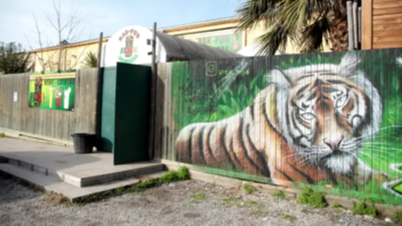 Montpellier : un after tourne au chaos avec coups de feu et violences au bar le Jungle