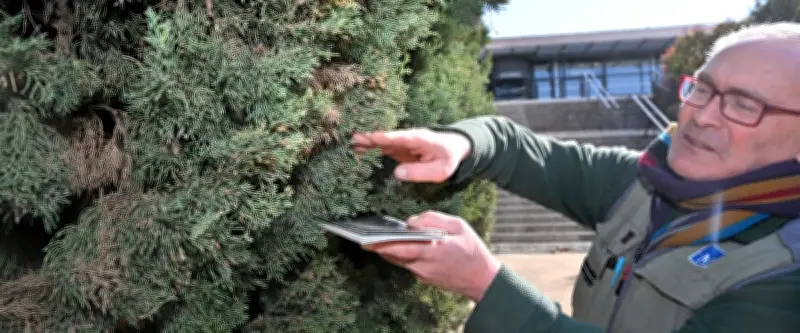 Montpellier : un pollinarium traque les pollens pour alerter les allergiques en temps réel