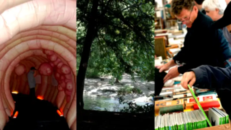 Montpellier : une semaine riche en événements culturels, de santé et citoyens