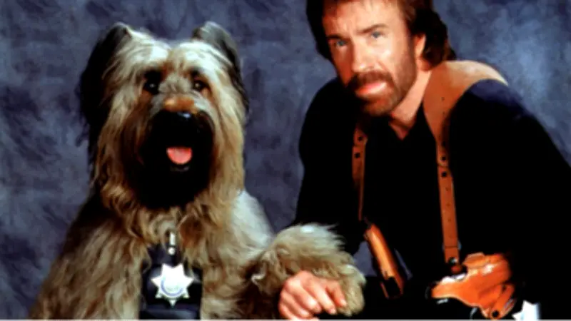 Mort de Chuck Norris : l'icône internet et ses mèmes légendaires