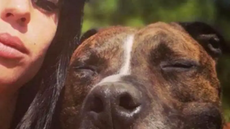 Mort d'Elisa Pilarski : quatre ans avec sursis requis contre son compagnon, euthanasie du chien demandée