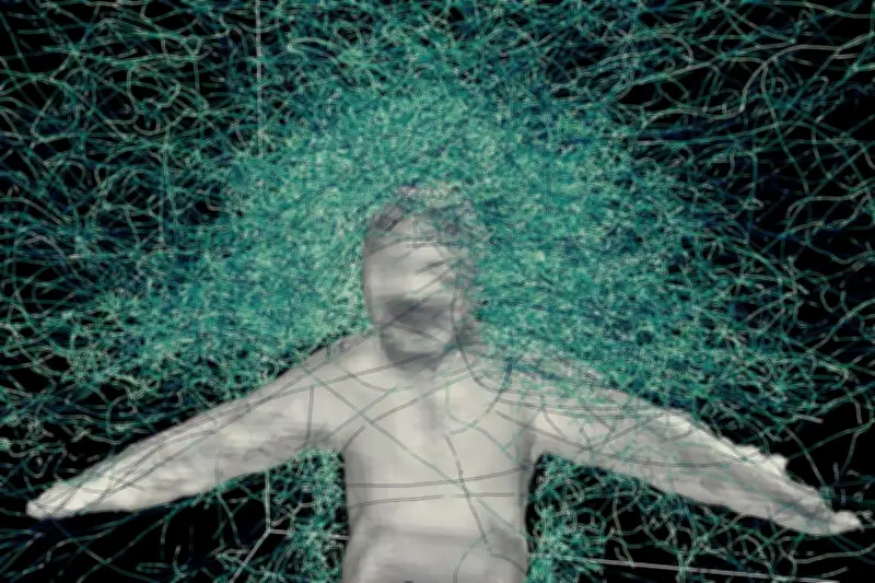 Moustiques : Décryptage des Lois de leur Vol Mortel par une Étude Inédite