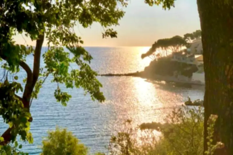 Météo du Var ce mardi 31 mars : soleil et douceur au programme