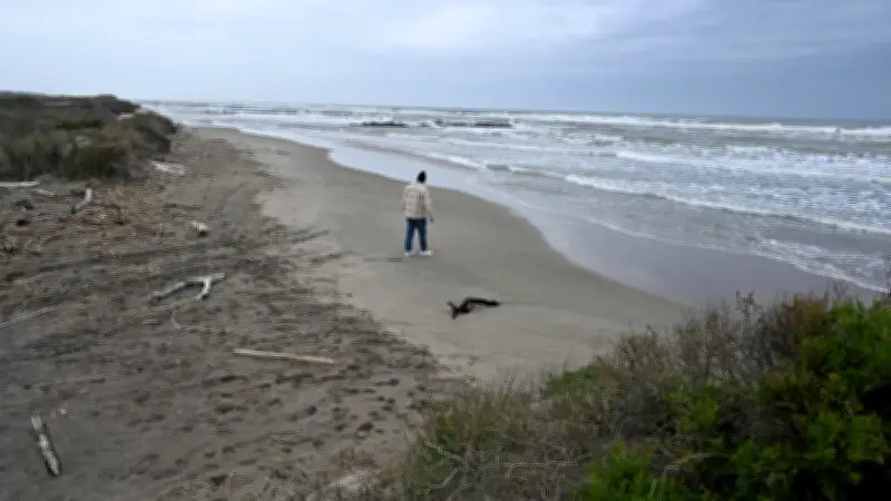 Municipales 2026 au Grau-du-Roi : Les candidats exposent leurs stratégies face à l'érosion côtière