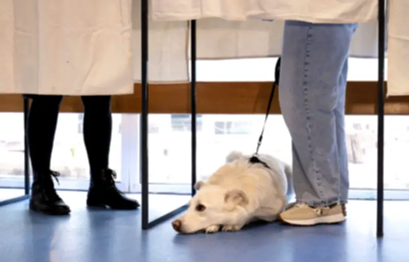 Municipales 2026 : combien de communes votent encore au second tour ce dimanche ?