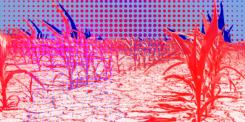 Municipales 2026 : La dernière ligne droite de campagne avant le premier tour