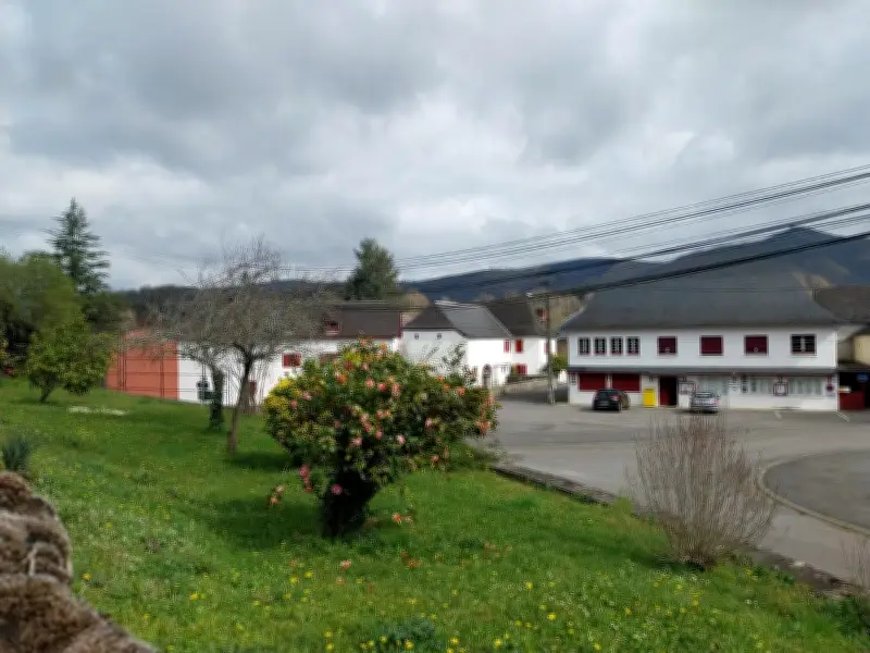 Municipales à Ossas-Suhare : duel de belles-sœurs dans un village basque divisé