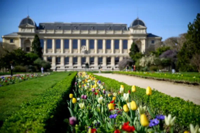 Muséum d'histoire naturelle : 400 ans et un patrimoine en péril