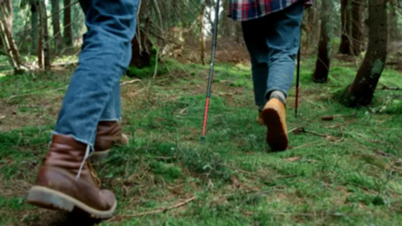 Mystérieux appel à l'aide dans un bois de l'Isère : les secours mobilisés sans résultat