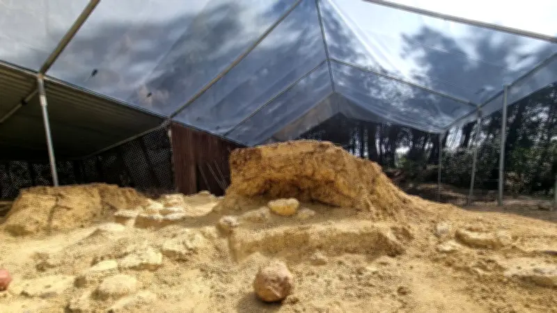 Mèze révèle un gisement exceptionnel d'œufs de dinosaures parmi les plus importants au monde