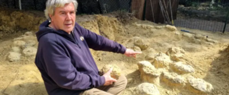 Mèze révèle un trésor paléontologique : une centaine d'œufs de dinosaures découverts