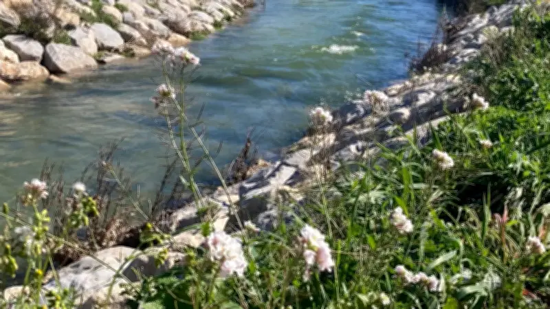 Nappes phréatiques du Gard bien rechargées : un été serein en perspective ?