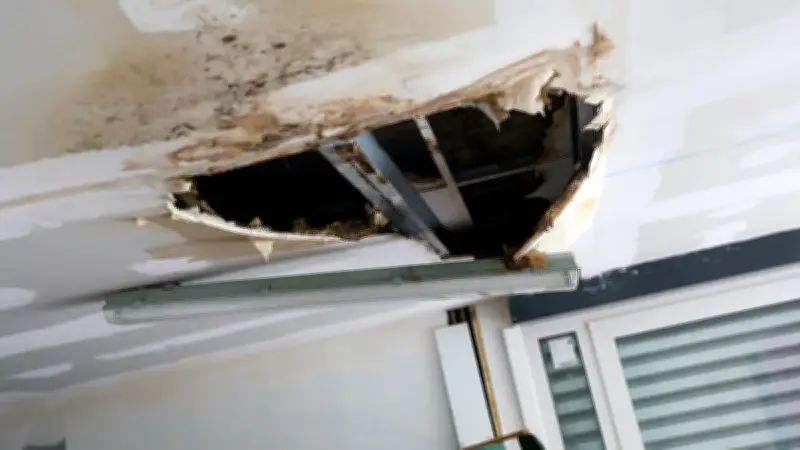 Narbonne pionnière avec son permis de louer pour lutter contre l'habitat indigne