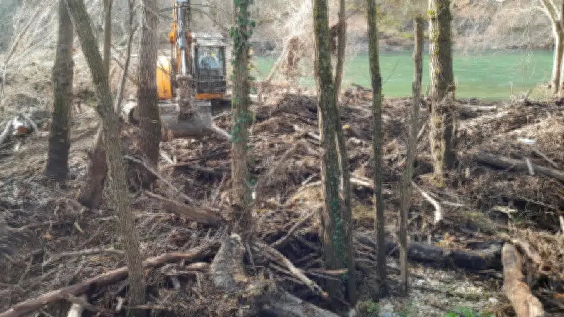 Nettoyage des berges du Tarn : 400 m³ de bois valorisés et offerts gratuitement aux riverains