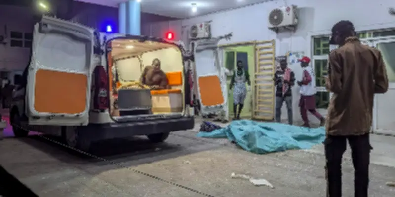 Nigeria : une série d'attentats frappe la ville de Maiduguri