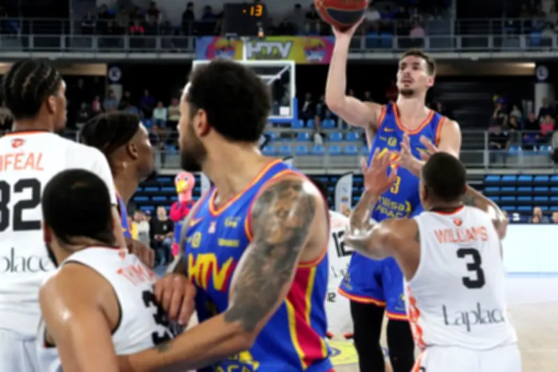 Nikola Knezevic, le shooteur polyvalent qui s'affirme au Hyères-Toulon Var Basket