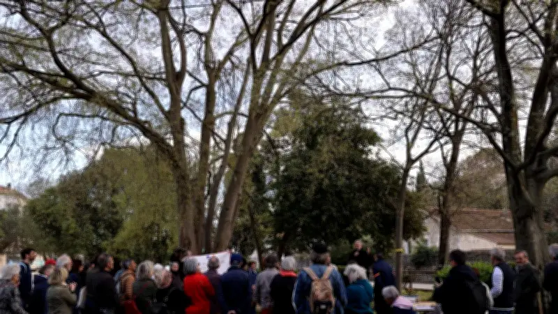 Nîmes : adieu aux acacias du square Guiu, les travaux anti-inondations condamnent les arbres