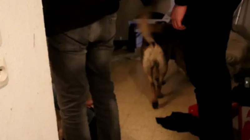 Nîmes : la Bac saisit 2 kg de cannabis et 30 000 euros dans un appartement