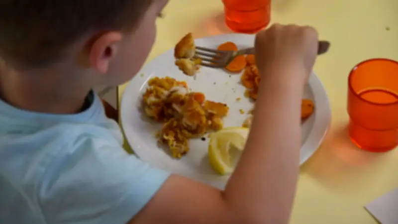 Nîmes : la cuisine centrale suspend sa production après des résultats insuffisants sur la qualité de l'eau