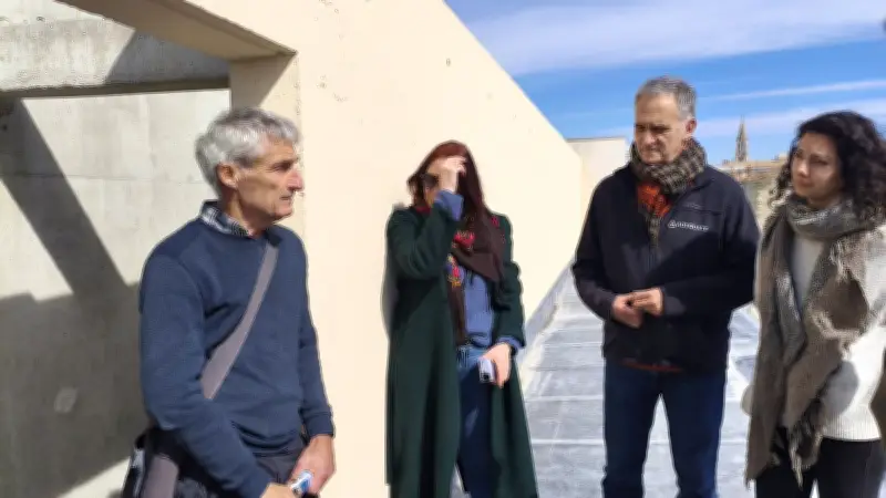 Nîmes : un futur hôtel de luxe transformé en refuge pour martinets noirs menacés