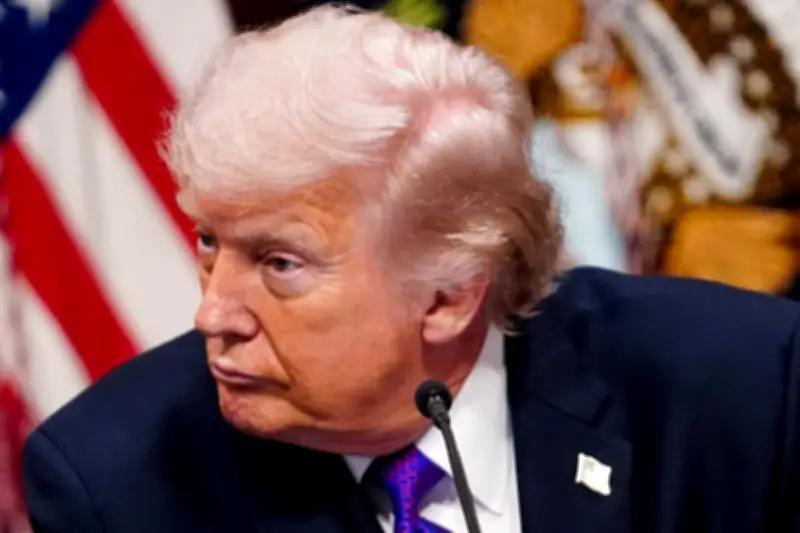 Nouveaux documents Epstein impliquent Trump dans des agressions sexuelles sur mineure