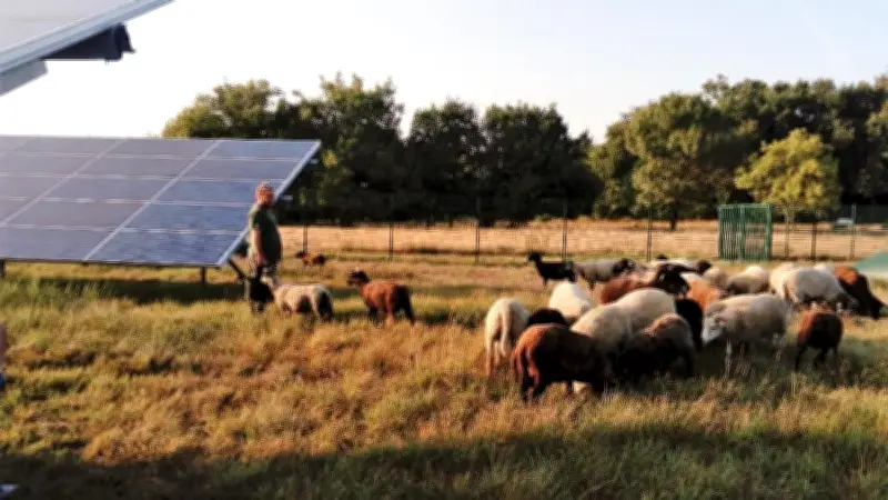 Nouvelle-Aquitaine : le réseau électrique obsolète freine la transition énergétique