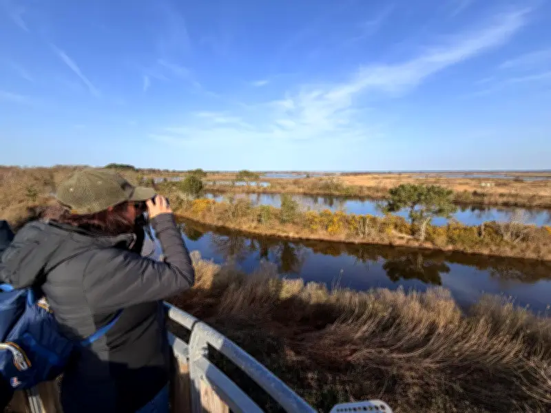 Nouvelle-Aquitaine : un paradis pour l'observation des oiseaux migrateurs et sédentaires