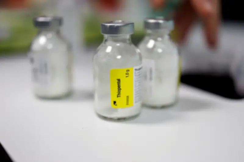 Nouvelle loi sur la fin de vie : opportunités pour les professionnels de santé