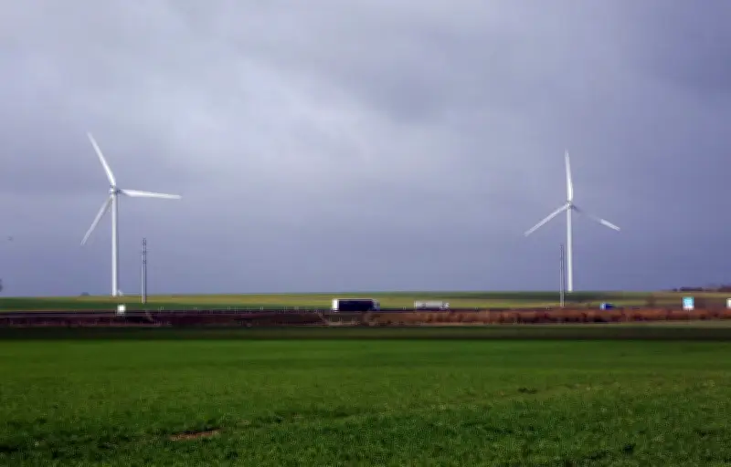 Éoliennes et déforestation amazonienne : la polémique relancée par un député RN