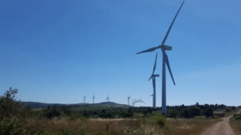 Éoliennes : la protection des oiseaux reste insuffisante face aux projets