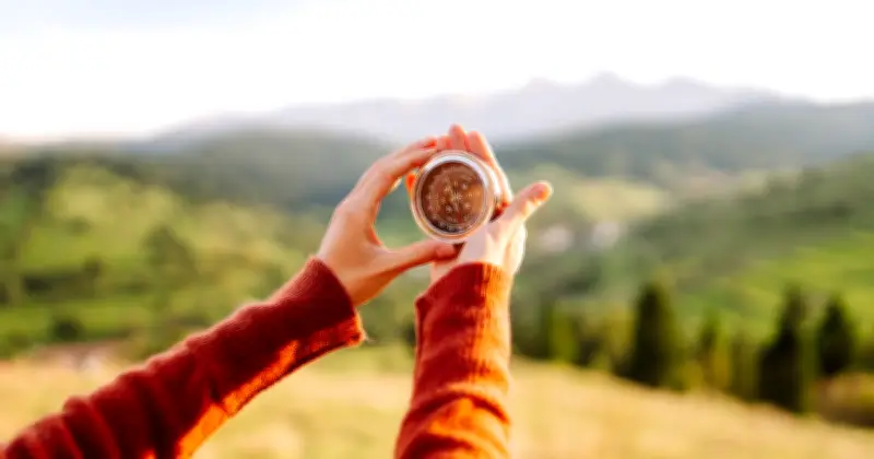 Origines surprenantes des points cardinaux : d'où viennent nord, sud, est, ouest ?