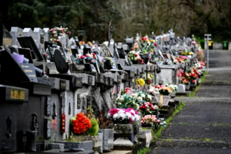 Orthez recense les sépultures abandonnées dans l'ancien cimetière de Départ