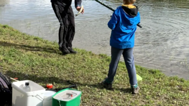 Ouverture de la pêche à la truite à Camarès : un événement incontournable dans l'Aveyron