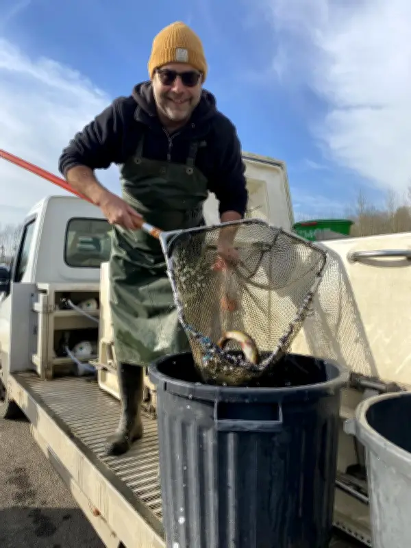 Ouverture de la pêche à la truite : des milliers de poissons déversés dans la Boutonne et la Nié